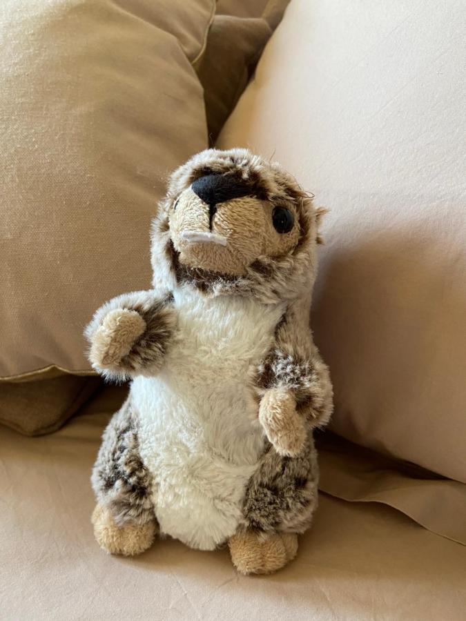 大博尔南La Marmotte Qui Papote公寓 外观 照片